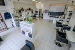 Attraktives Ladenlokal in Sankt Augustin-Niederpleis – Ihr neuer Gewerbestandort - Gewerbeobjekt St. Augustin Niederpleis | Angebot:27283766