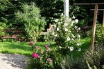 Natur. Ruhe. Privatsphäre. Ein Zuhause, das sich Ihrem Leben anpasst. - Einfamilienhaus Königswinter | Angebot:24598297